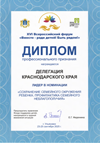 Диплом профессионального признания